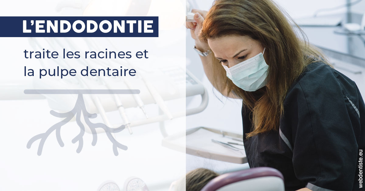 https://www.dr-thierry-jasion.fr/L'endodontie 1