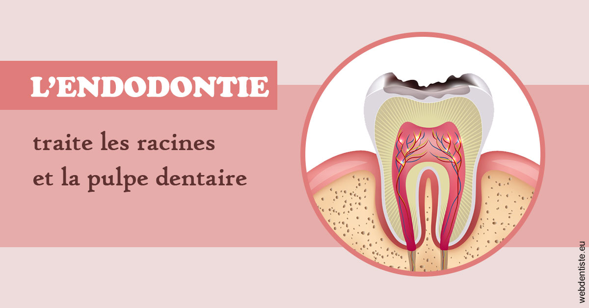 https://www.dr-thierry-jasion.fr/L'endodontie 2