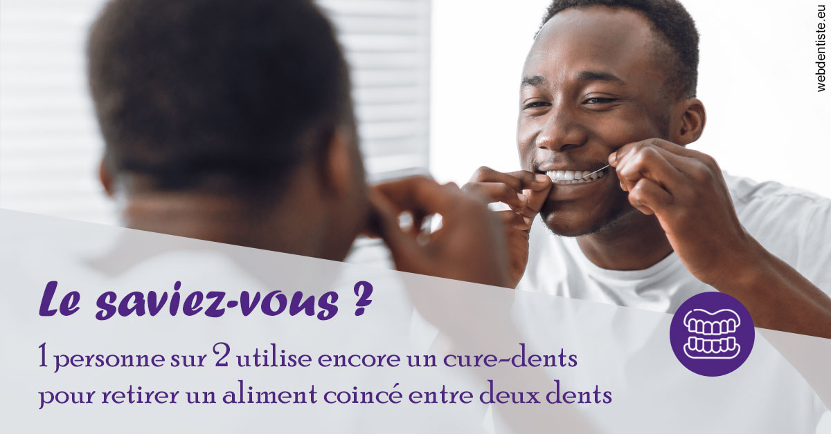 https://www.dr-thierry-jasion.fr/Cure-dents 2