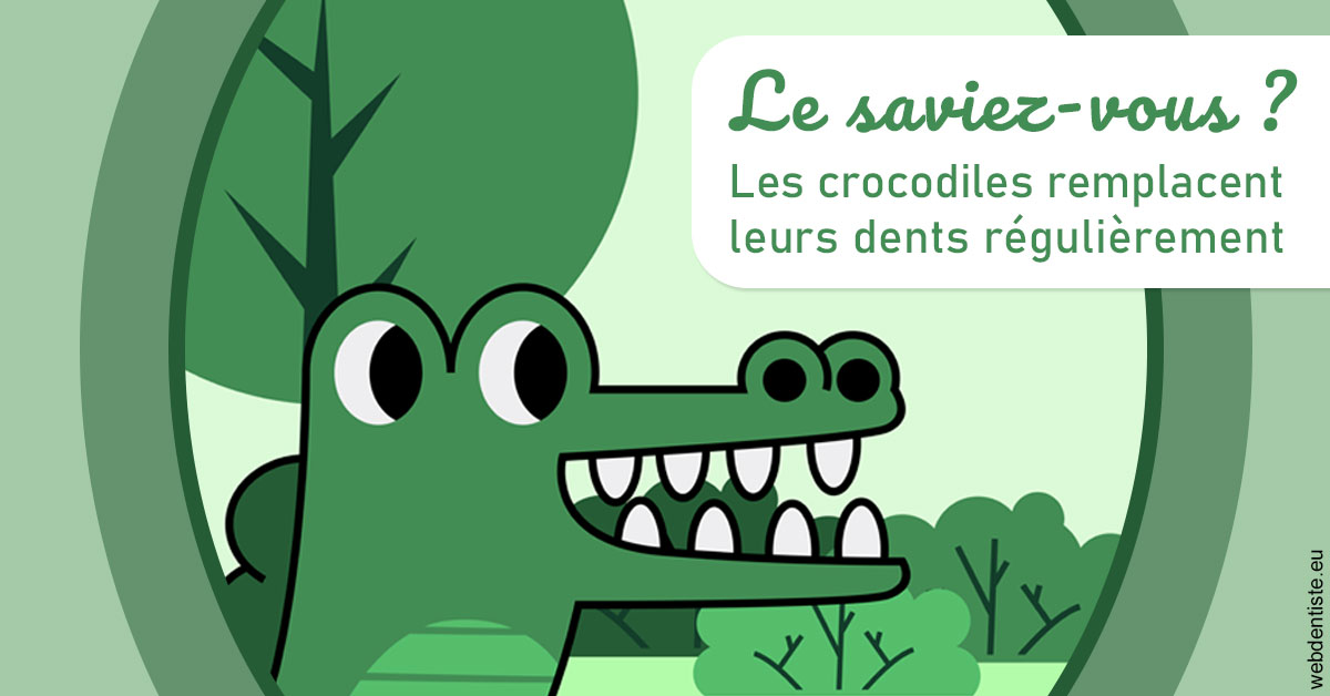 https://www.dr-thierry-jasion.fr/Crocodiles 2