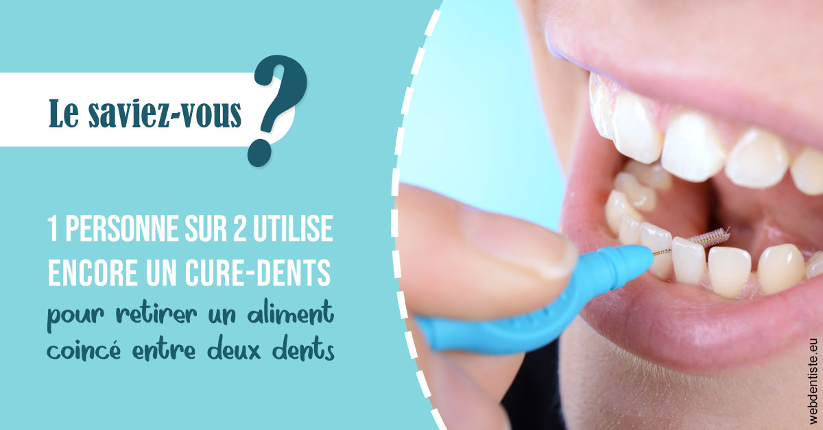 https://www.dr-thierry-jasion.fr/Cure-dents 1