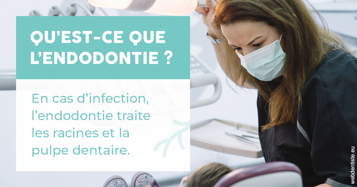 https://www.dr-thierry-jasion.fr/2024 T1 - Endodontie 01