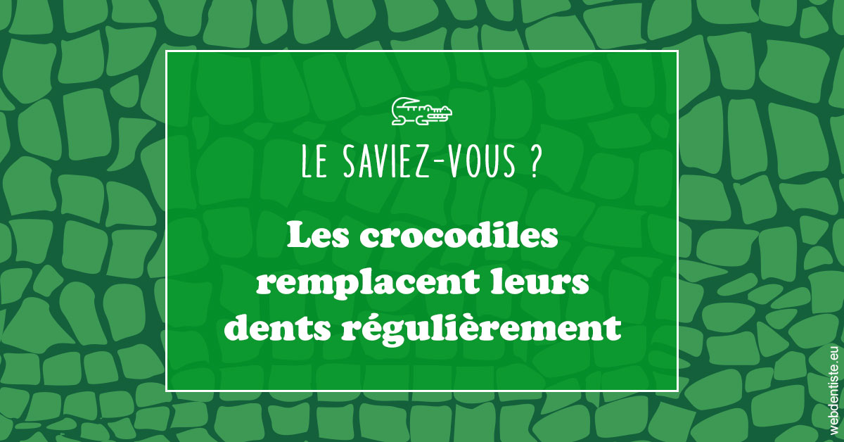 https://www.dr-thierry-jasion.fr/Crocodiles 1